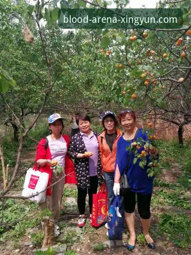 杏运体育官网下载地址失效 vs 无法安装：3分钟排查解决指南